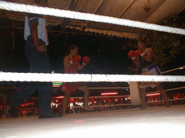 Scaled image 'Ladies' Thai Boxing....jpeg 