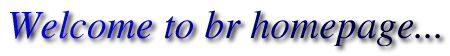 br Homepage Logo